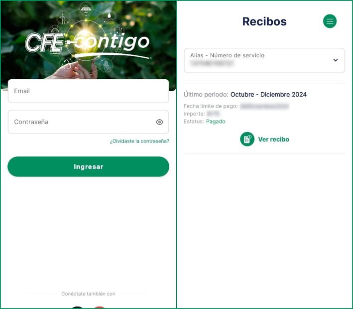 Consulta y paga tu recibo de luz a través de la app. Imagen: Captura de pantalla (14/01/2025)
