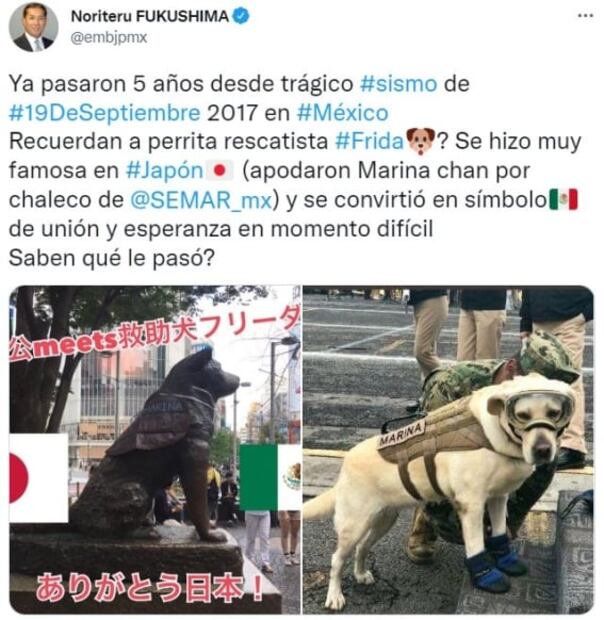 Embajador de Japón pregunta por la perrita rescatista "Frida" del sismo 19S