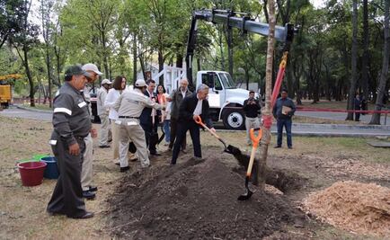 Activa gobierno de la CDMX programa de reforestación