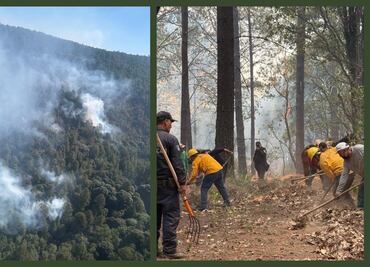 Controlan en un 95% el incendio en el Santuario de la Mariposa Monarca; contribuyen casi 250 brigadistas