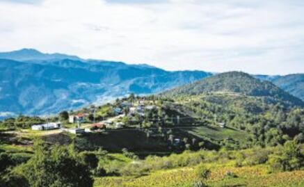 Minera desconocida deja explotación y devastación en Tejocotes, poblado de la Mixteca