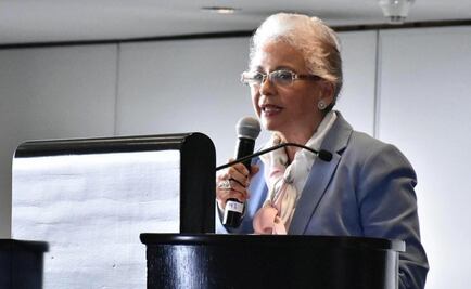 Defenderemos a connacionales por redadas en EU: Sánchez Cordero