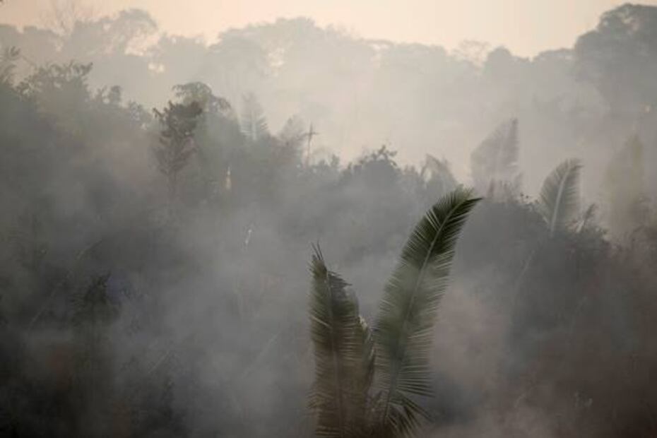 Días grises y noches amarillas, así se ve el Amazonas ante el avance del fuego