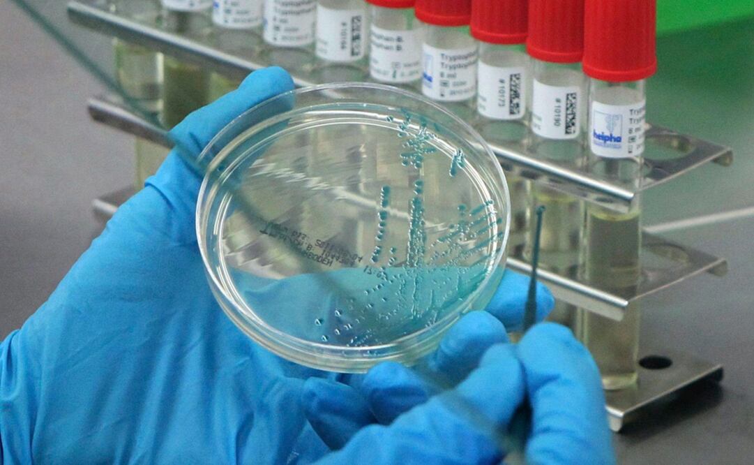 (FOTO: archivo. EL UNIVERSAL)