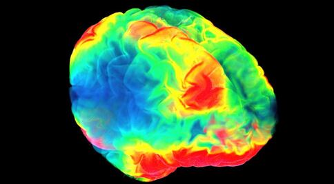 ¿Cómo se genera el placer en nuestro cerebro?, científico responde 