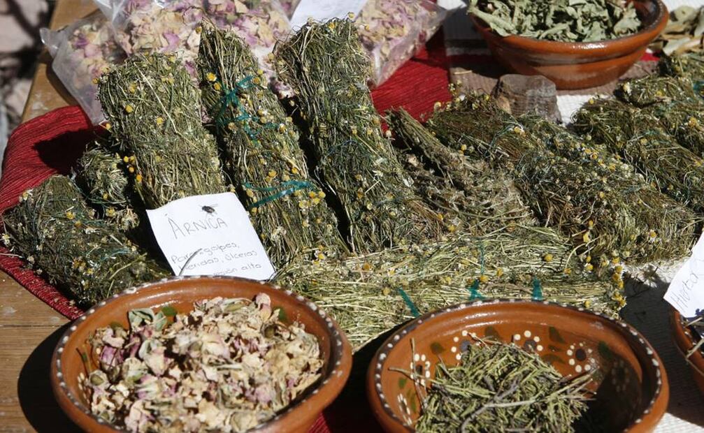 Plantas medicinales. Foto: Archivo EL UNIVERSAL