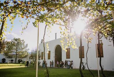 5 viñedos para visitar en México