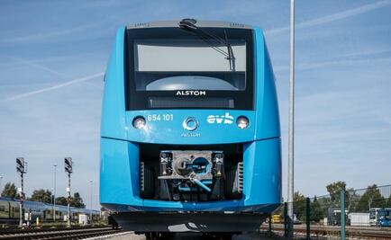 Spanish-Mexican consortium wins bid for third Mayan Train stretch