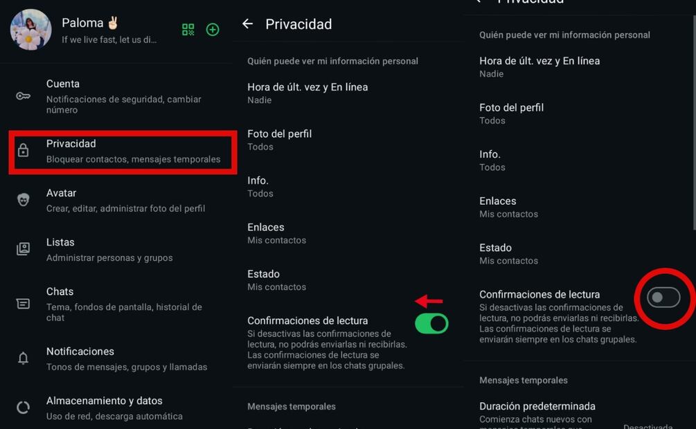 modo espía de WhatsApp. Imagen: captura de pantalla