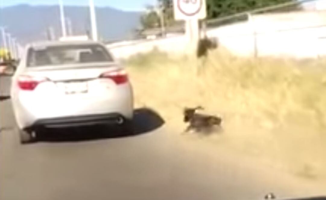 FOTO: Captura de pantalla