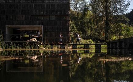 Una sorprendente biblioteca en medio de un bosque en Pekín