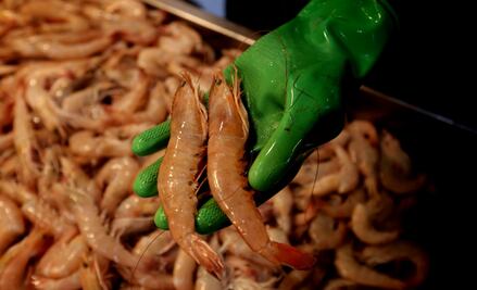 China suspenderá importaciones de mariscos de Japón ante tensión bilateral