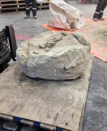 Países Bajos incautó 3 toneladas de metanfetamina en cargamento procedente de México