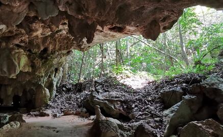 Entregan evaluación sobre impacto ambiental para el polémico Tramo 5 Sur del Tren Maya