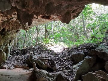 Entregan evaluación sobre impacto ambiental para el polémico Tramo 5 Sur del Tren Maya