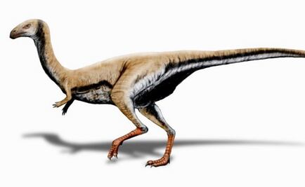El Limusaurus, un dinosaurio que perdía los dientes al hacerse adulto