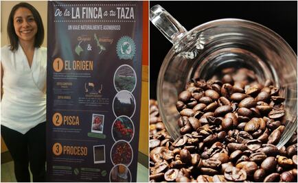 El café de moda es el sustentable