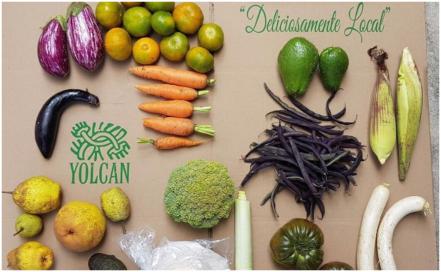 5 opciones para comprar orgánico 