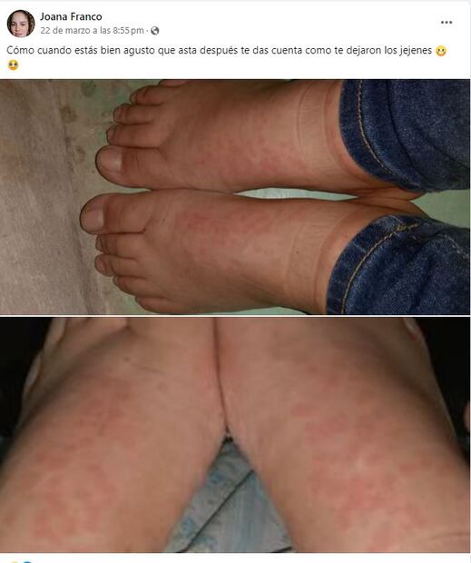 Usuarios en redes sociales hablan de ello.
Foto: Captura de pantalla