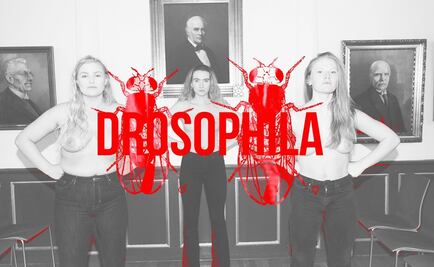 Facebook censura a artista islandesa por publicar fotos con pechos femeninos