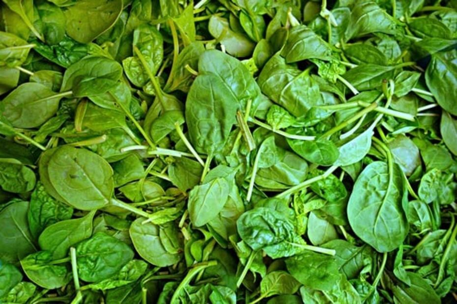 5 alimentos que ayudan a prevenir las estrías