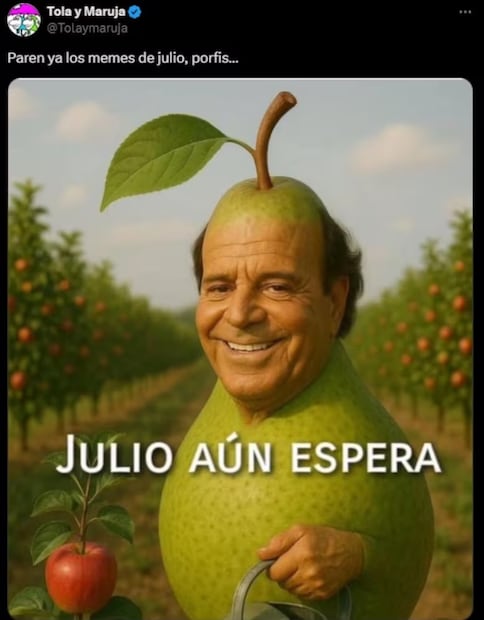 Los mejores memes pare recibir julio 2025; usuarios comparten con humor la llegada del séptimo mes. Fuente: X