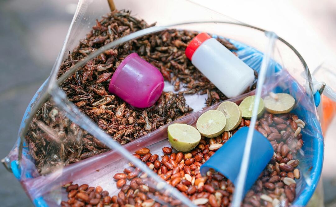 Poco a poco, los chapulines se convierten en un superalimento. Foto: Pexels