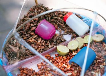 Cuáles son los beneficios de comer chapulines