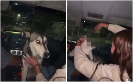 Identifican a mujer que obligó a perro a tomar alcohol en Chihuahua; universidad donde estudia atenderá tema