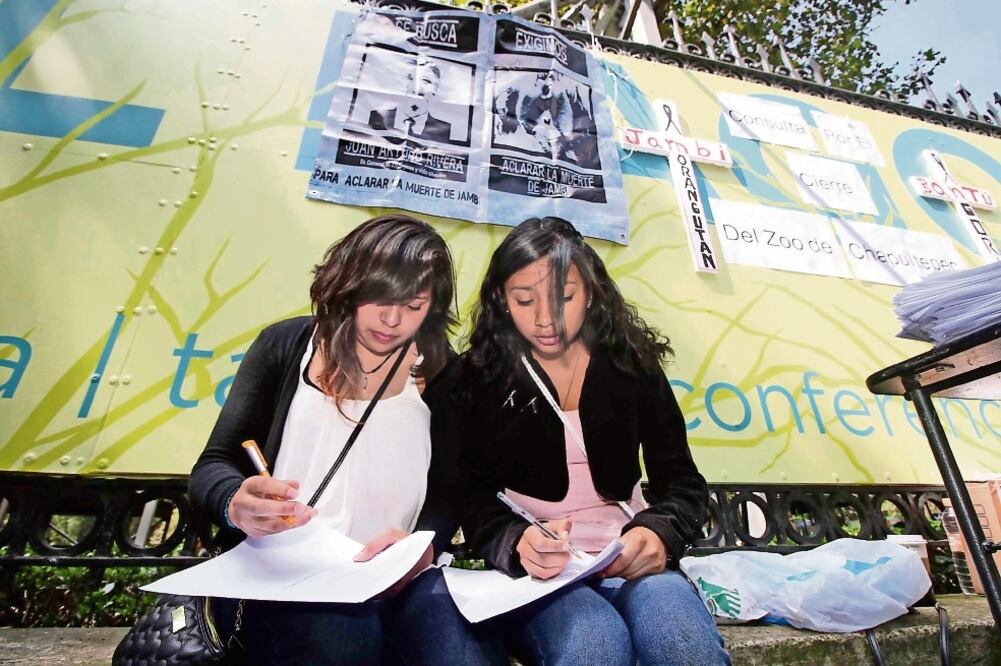 Las asociaciones civiles aseguraron que el modelo educativo que se propone en los zoológicos ha sido rebasado, por lo que proponen su cierre o transformación en beneficio de los animales en cautiverio (GERMÁN GARCÍA. EL UNIVERSAL)