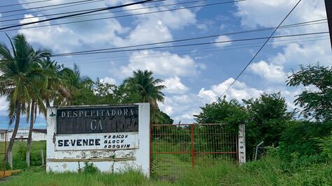 Algodón, el motor que llevó desarrollo a Apatzingán