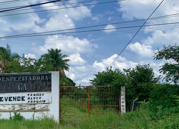 Algodón, el motor que llevó desarrollo a Apatzingán