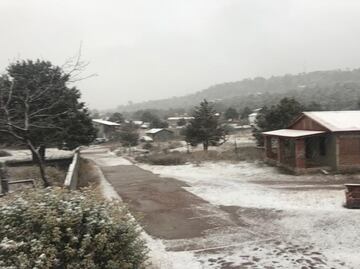 Cae nevada en la zona Serrana de Chihuahua