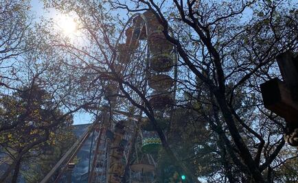 “Tranquilo”, así califican a la “Rueda India” de donde cayó un joven en Six Flags