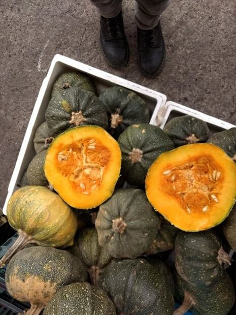 5 cosas que todos compramos en mercado Jamaica durante otoño