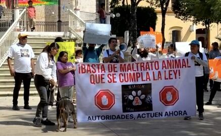 “Presidente, usa la razón, los animales también son tu misión”; familias marchan para exigir alto al maltrato animal en Tlaxiaco, Oaxaca