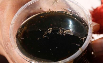 Trabajará Tamaulipas en prevención de dengue, zika y chikungunya