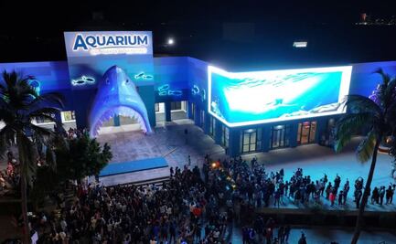 Reportan irregularidades y daño patrimonial de casi 20 mdp en rehabilitación del Aquarium de Veracruz