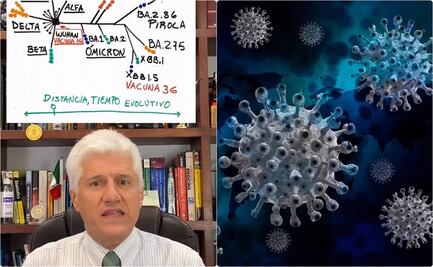 ¿Trombosis por la vacuna contra covid? Dr. Macías explica en qué casos se da 