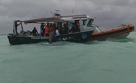 Liberan a delfín varado en playas de Progreso, Yucatán