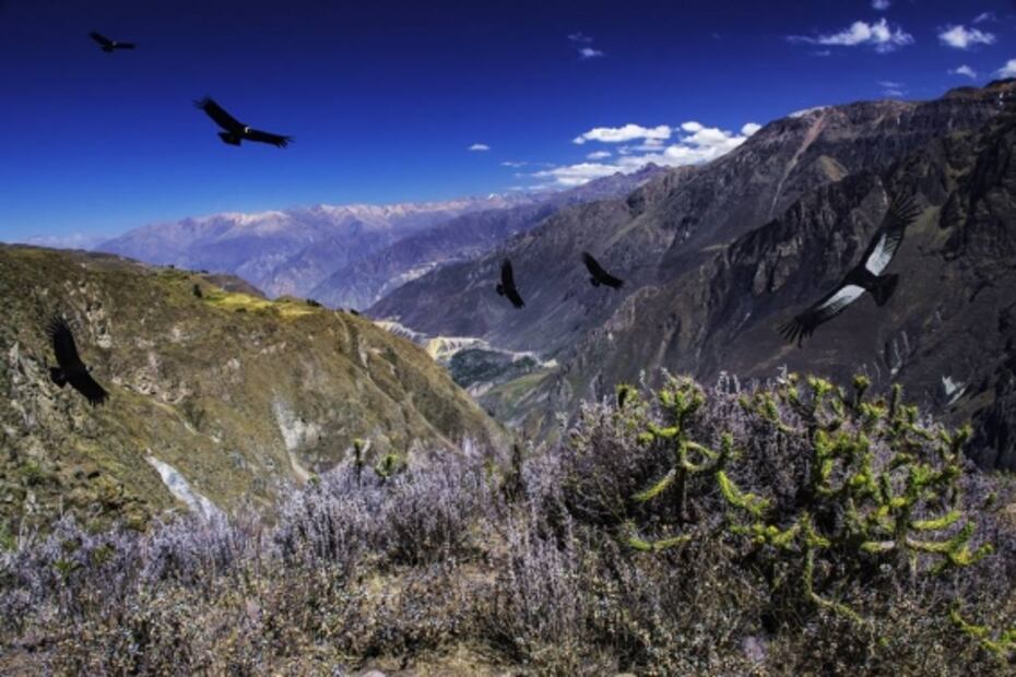 Perú: 11 actividades imperdibles, además de ir a Machu Picchu