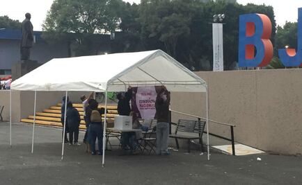 "Tibia" votación en tercera jornada de consulta por NAIM