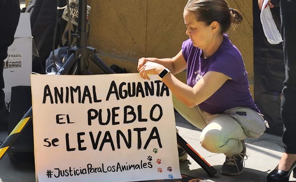 Activistas exigen justicia por el ataque a la perrita "Miel" en Morelos (08/04/2025). Foto: Especial