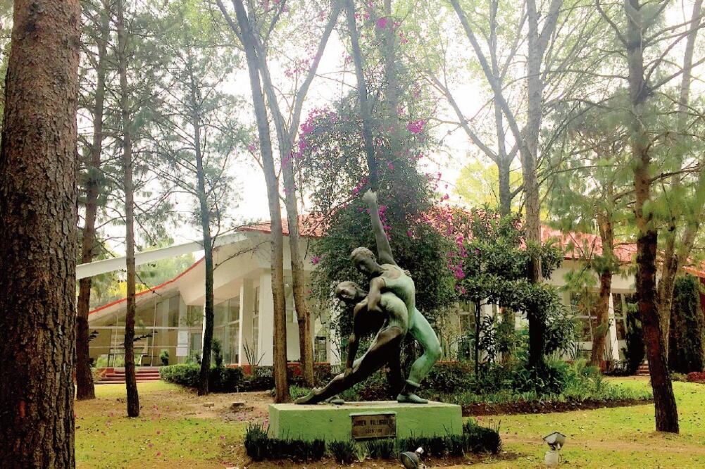 A consulta, rescate de Parque Naucalli