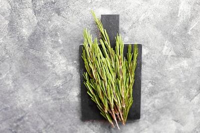 La hierba que mejora la memoria y la concentración