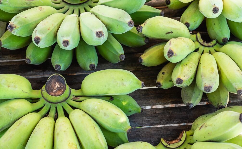 El plátano verde, a diferencia del amarillo, es bajo en azúcares. Foto: Freepik
