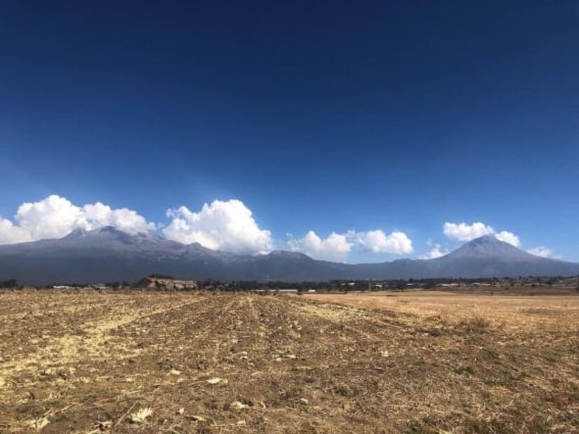 Visita el Festival de Mixiotes en Hacienda San Andrés