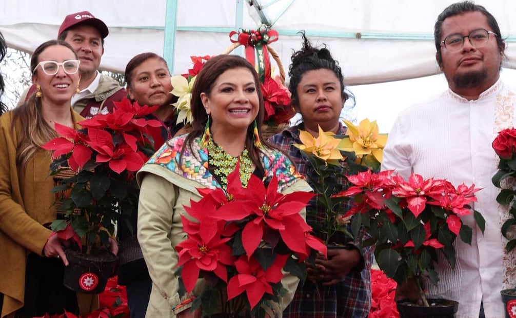 Arranca venta de nochebuena en CDMX; producción alcanzó 1.8 millones de flores.
Foto: Especial.