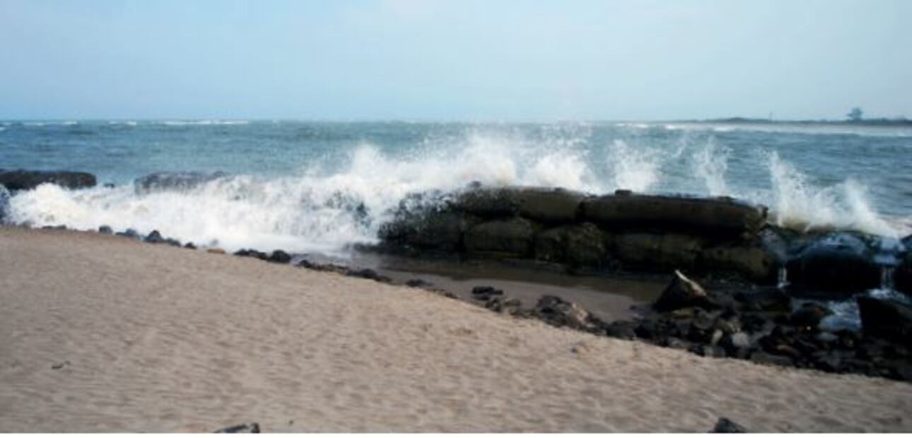 Imagen: veracruz.gob.mx