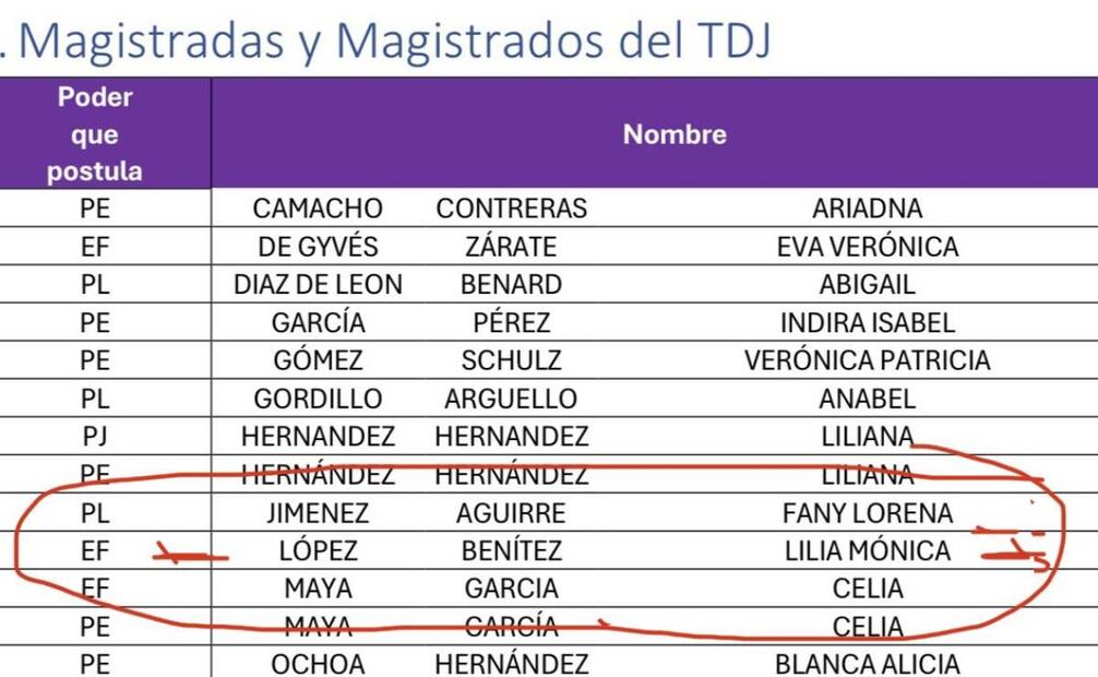 La consejera aparece postulada en el apartado de Magistradas y Magistrados del Tribunal de Disciplina Judicial (TDJ). Foto: INE